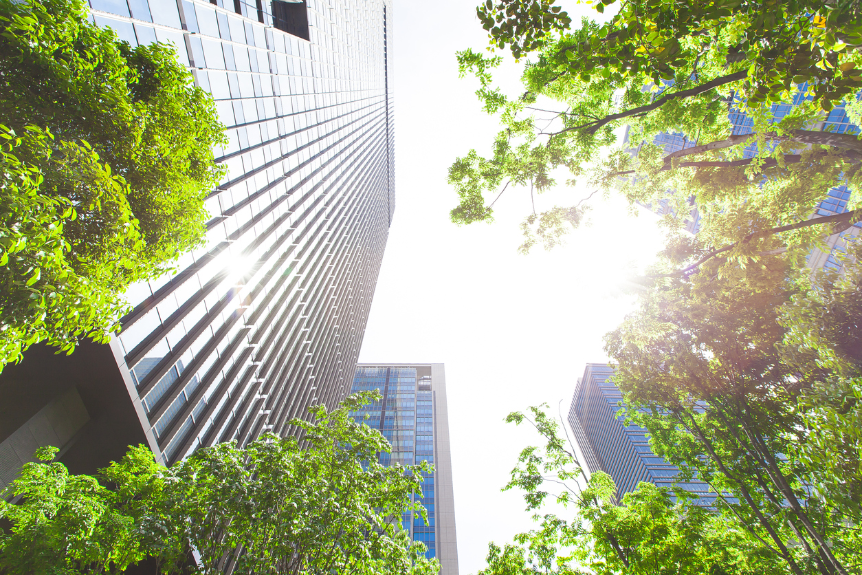 Several office buildings surrounded by green trees.