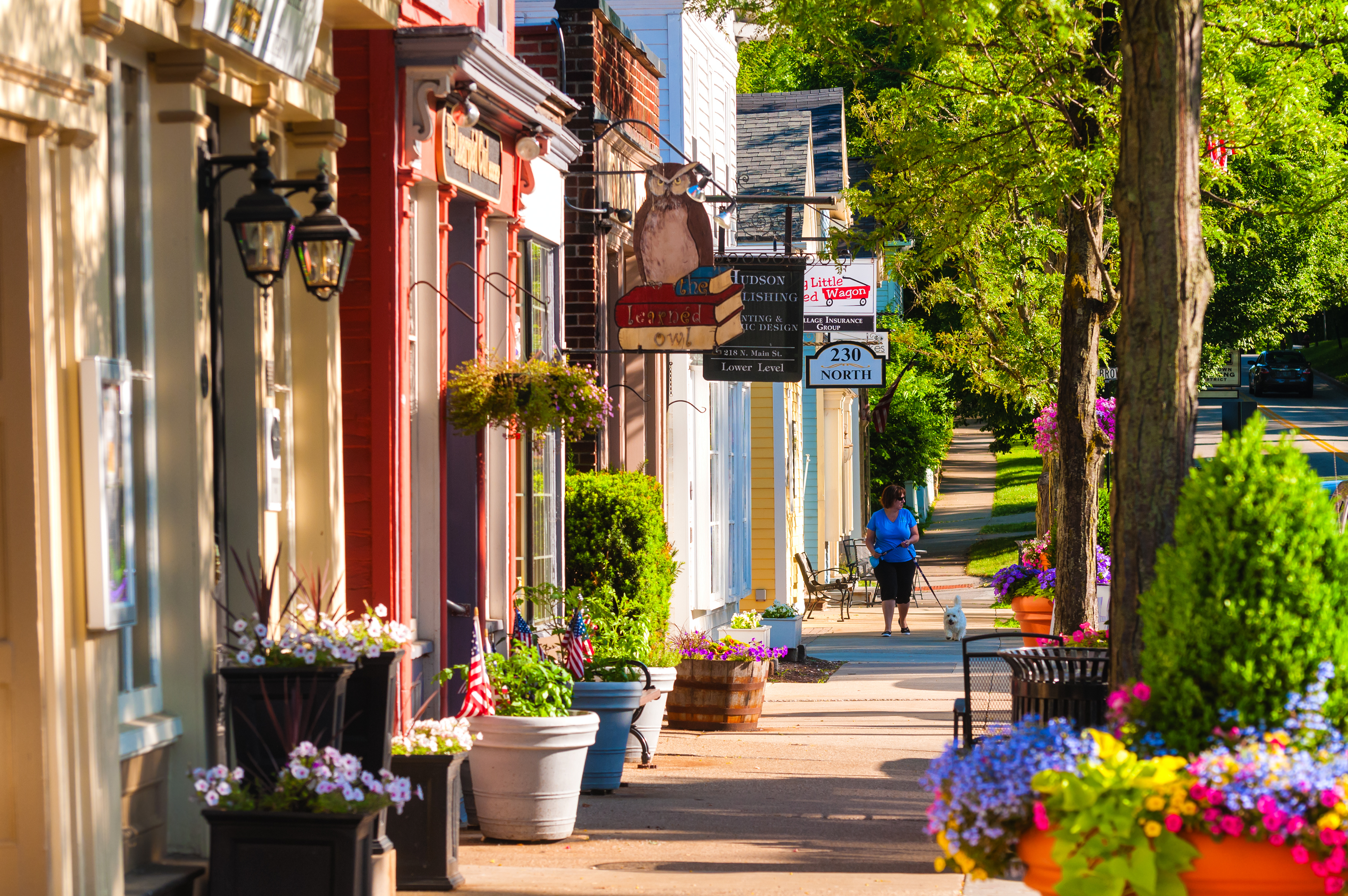 Quaint shops and businesses on a small town main street.