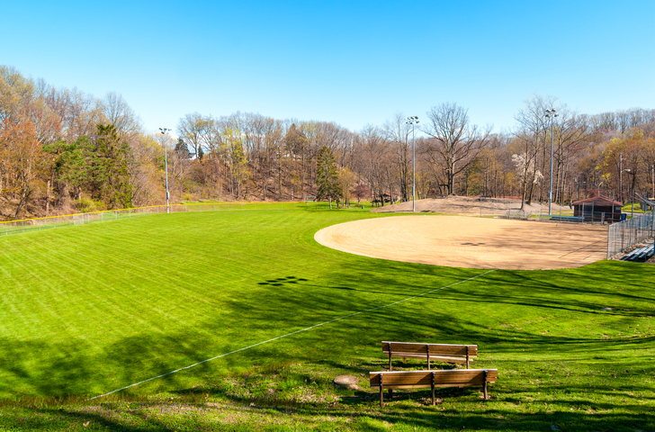A community baseball field surrounded by green grass and trees in the background.