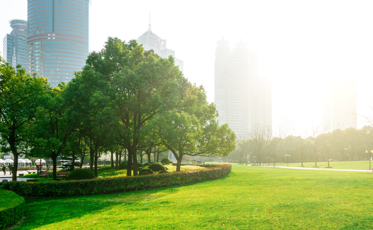 Photograph of a city park, with grass and trees in the foreground and skyscrapers visible in the background.
